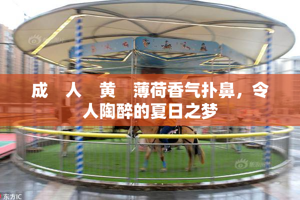 成　人　黄　薄荷香气扑鼻，令人陶醉的夏日之梦