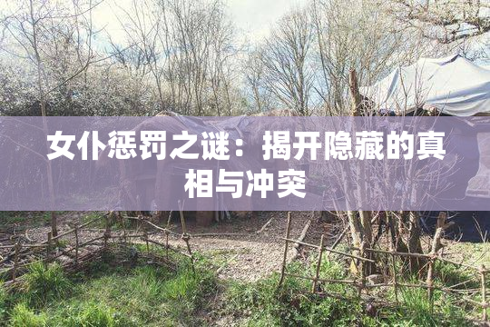 女仆惩罚之谜：揭开隐藏的真相与冲突