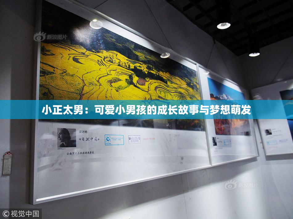 小正太男：可爱小男孩的成长故事与梦想萌发