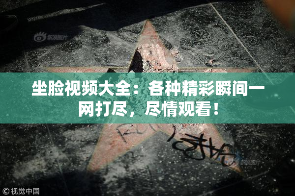 坐脸视频大全：各种精彩瞬间一网打尽，尽情观看！