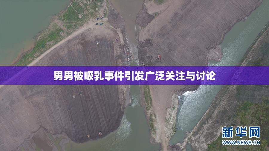 男男被吸乳事件引发广泛关注与讨论