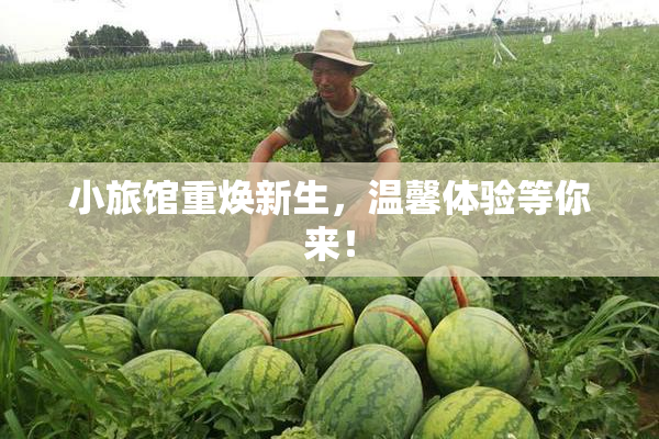 小旅馆重焕新生，温馨体验等你来！