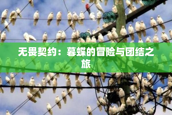 无畏契约：暮蝶的冒险与团结之旅