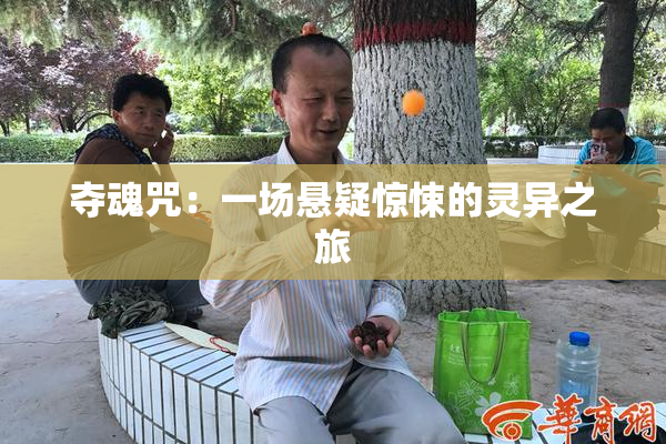 夺魂咒：一场悬疑惊悚的灵异之旅