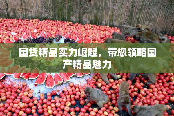 国货精品实力崛起，带您领略国产精品魅力