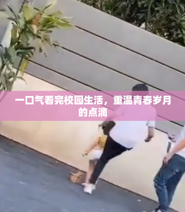 一口气看完校园生活，重温青春岁月的点滴