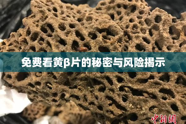 免费看黄β片的秘密与风险揭示