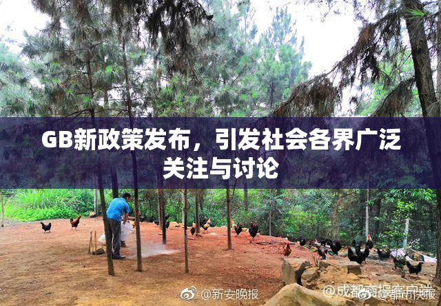 GB新政策发布，引发社会各界广泛关注与讨论