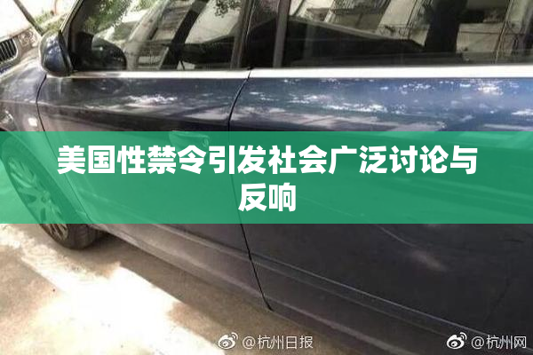 美国性禁令引发社会广泛讨论与反响
