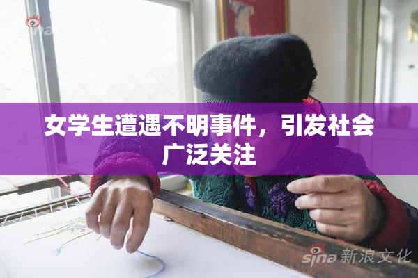女学生遭遇不明事件，引发社会广泛关注