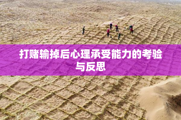 打赌输掉后心理承受能力的考验与反思