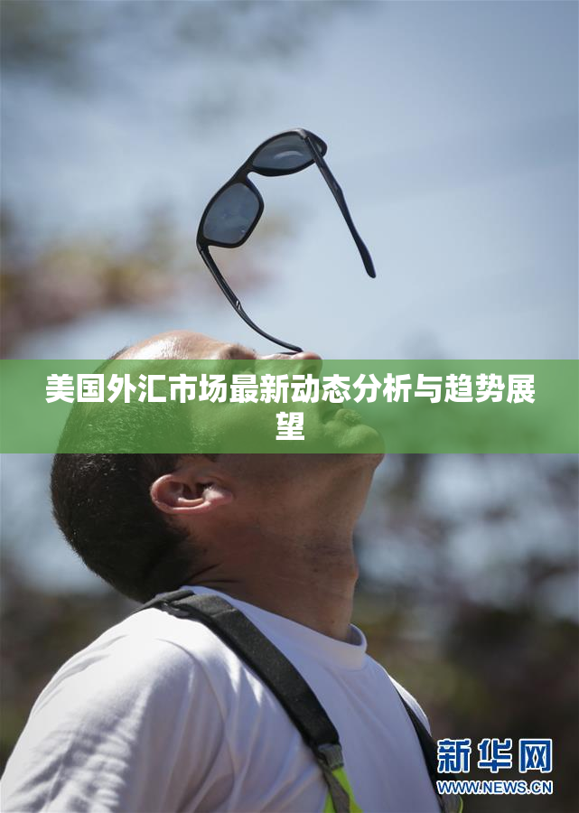 美国外汇市场最新动态分析与趋势展望