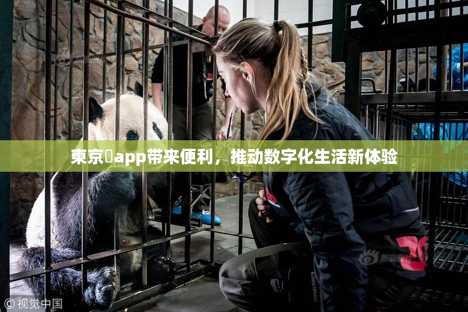 柬京埶app带来便利，推动数字化生活新体验