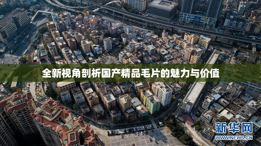全新视角剖析国产精品毛片的魅力与价值