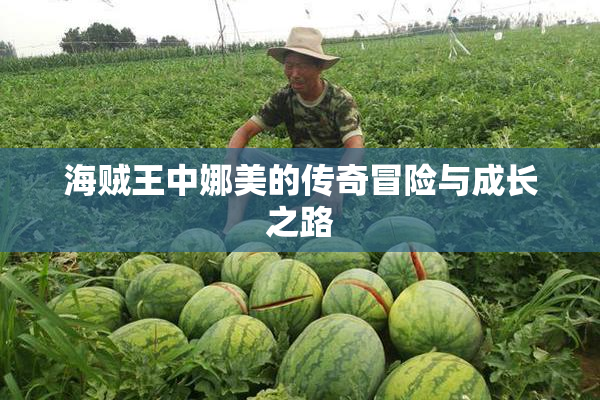 海贼王中娜美的传奇冒险与成长之路