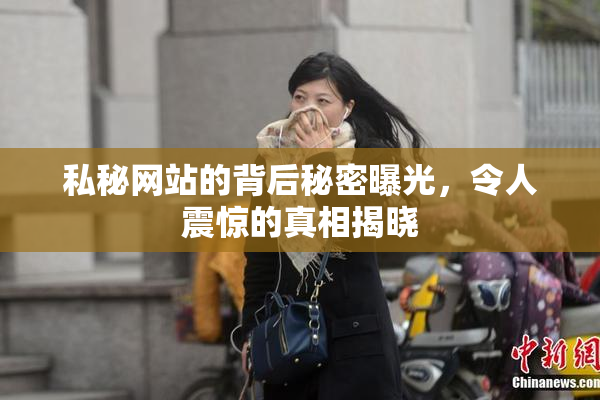 私秘网站的背后秘密曝光，令人震惊的真相揭晓