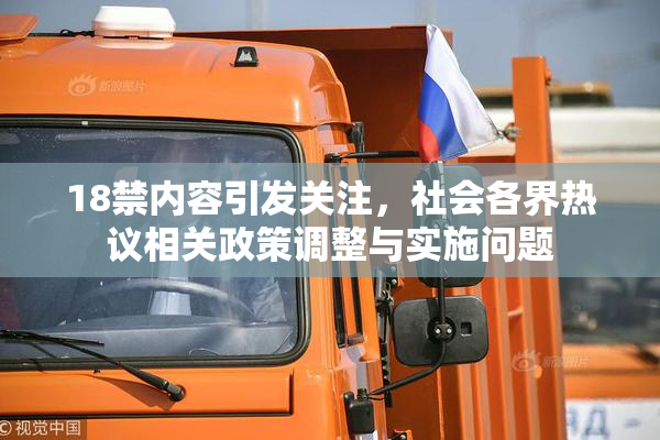 18禁内容引发关注，社会各界热议相关政策调整与实施问题