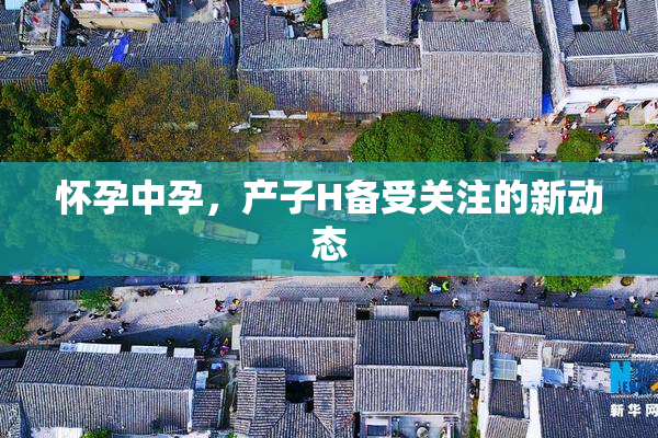 怀孕中孕，产子H备受关注的新动态