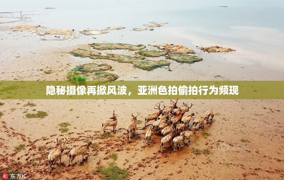 隐秘摄像再掀风波，亚洲色拍偷拍行为频现