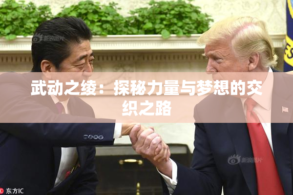 武动之绫：探秘力量与梦想的交织之路