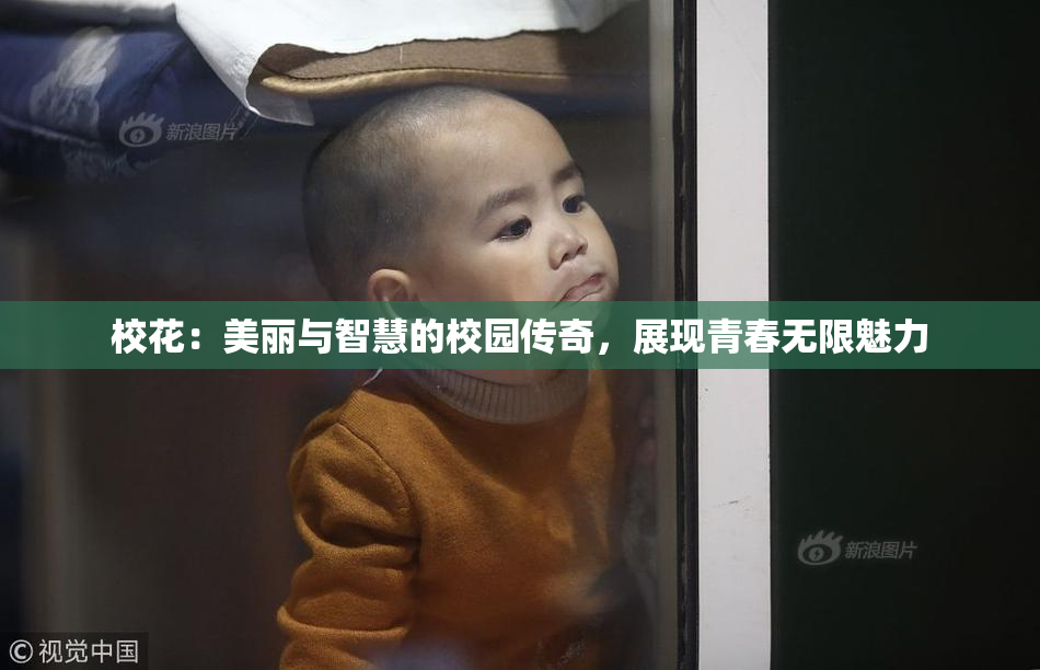 校花：美丽与智慧的校园传奇，展现青春无限魅力