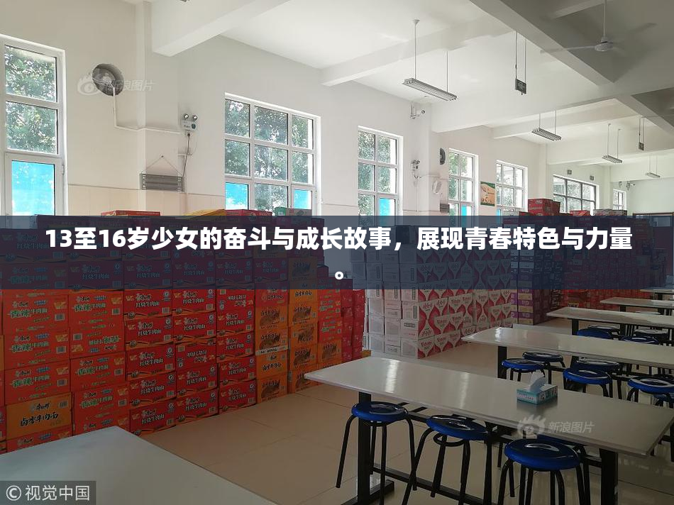13至16岁少女的奋斗与成长故事，展现青春特色与力量。