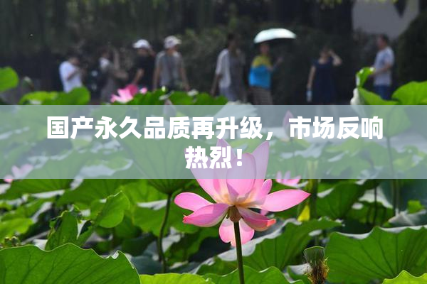 国产永久品质再升级，市场反响热烈！