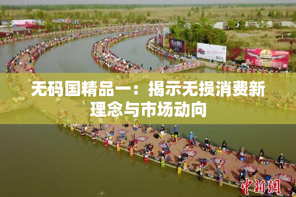 无码国精品一：揭示无损消费新理念与市场动向