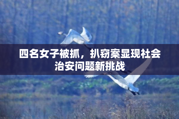 四名女子被抓，扒窃案显现社会治安问题新挑战