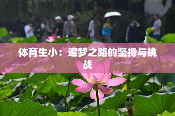 体育生小：追梦之路的坚持与挑战