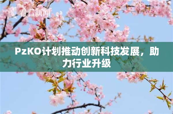 PzKO计划推动创新科技发展，助力行业升级