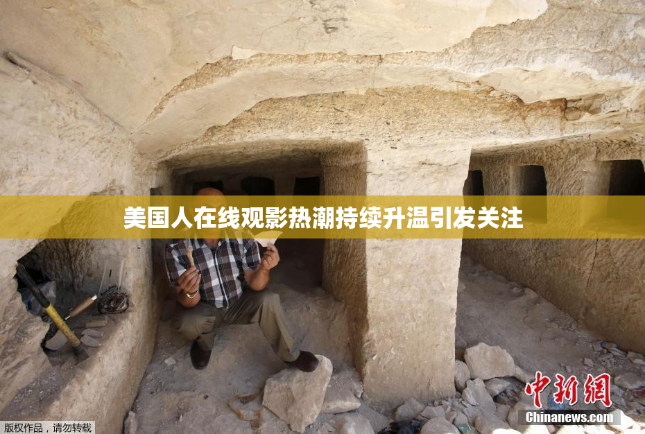 美国人在线观影热潮持续升温引发关注