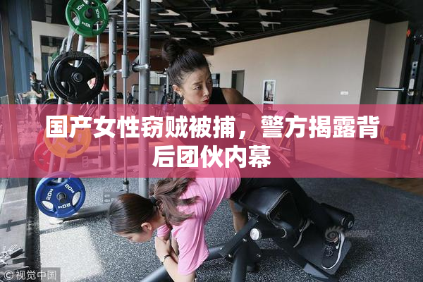国产女性窃贼被捕，警方揭露背后团伙内幕