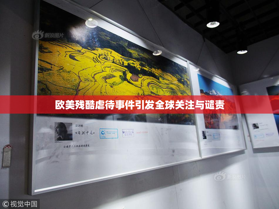 欧美残酷虐待事件引发全球关注与谴责