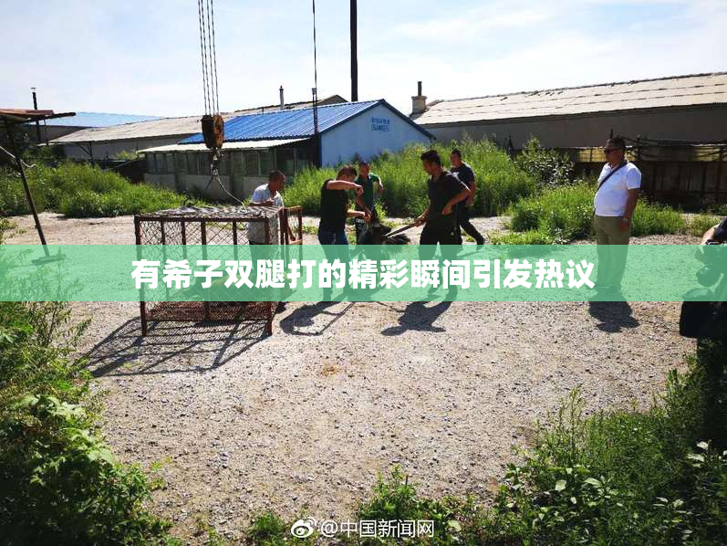有希子双腿打的精彩瞬间引发热议