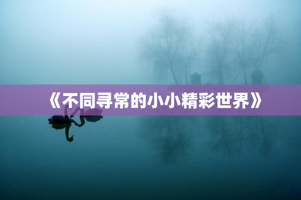 《不同寻常的小小精彩世界》