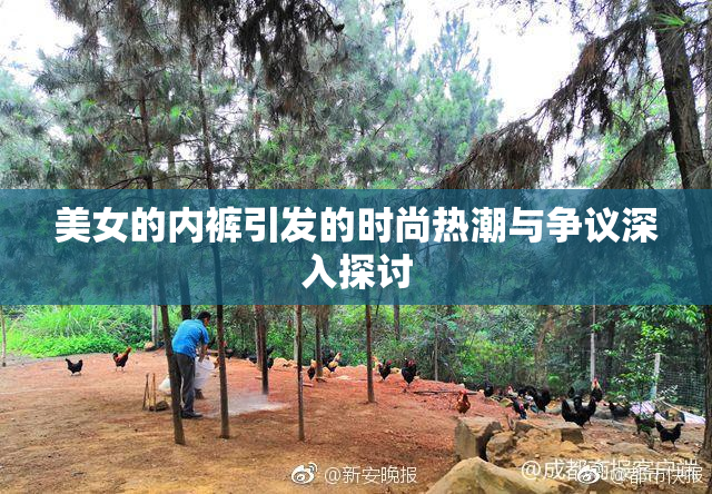 美女的内裤引发的时尚热潮与争议深入探讨