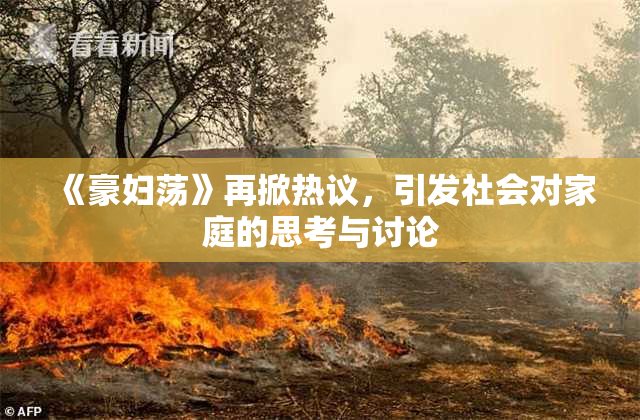 《豪妇荡》再掀热议，引发社会对家庭的思考与讨论