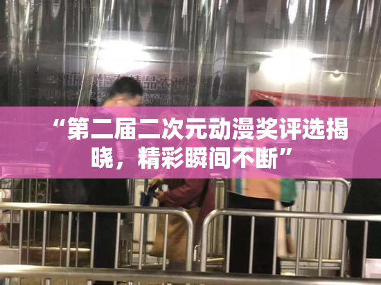 “第二届二次元动漫奖评选揭晓，精彩瞬间不断”
