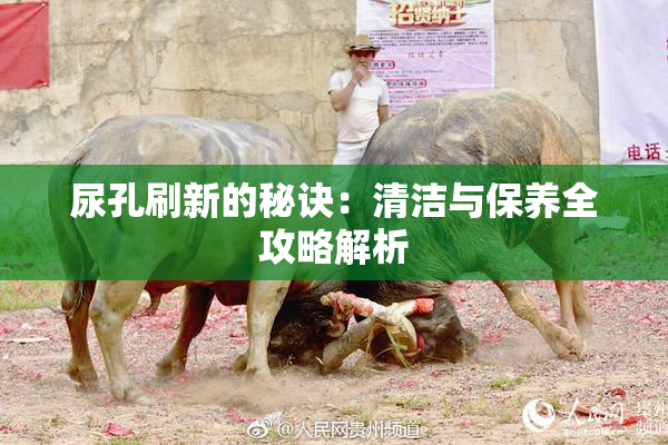 尿孔刷新的秘诀：清洁与保养全攻略解析
