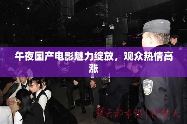 午夜国产电影魅力绽放，观众热情高涨
