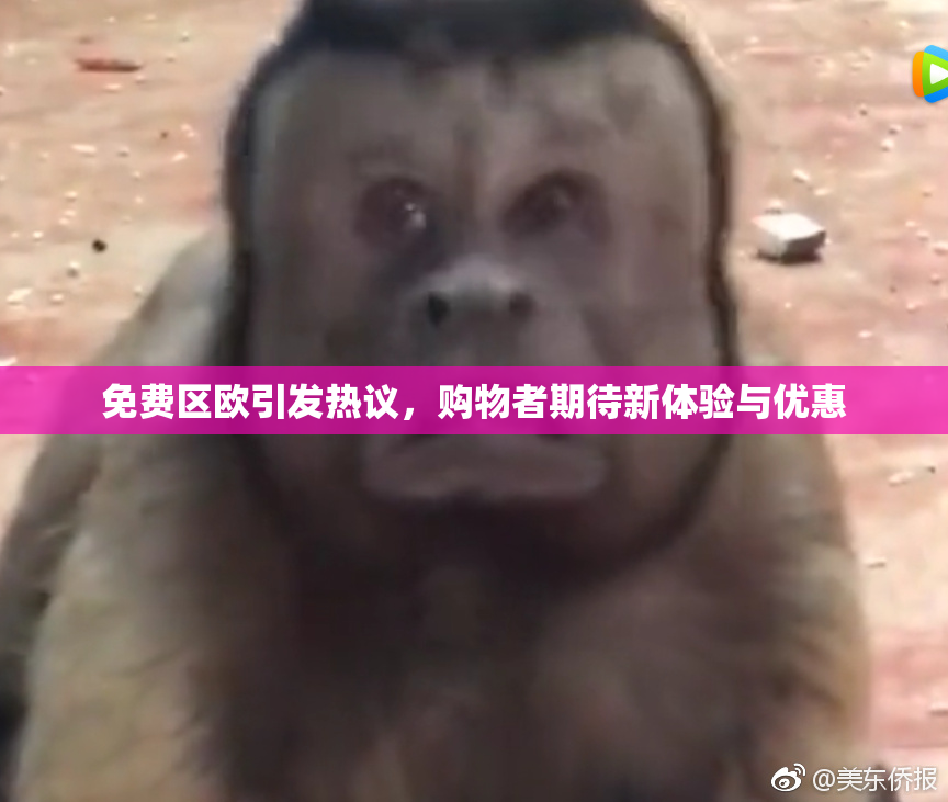 免费区欧引发热议，购物者期待新体验与优惠