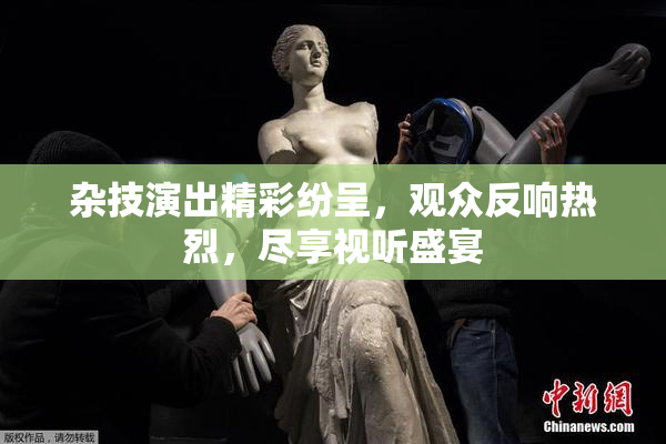 杂技演出精彩纷呈，观众反响热烈，尽享视听盛宴