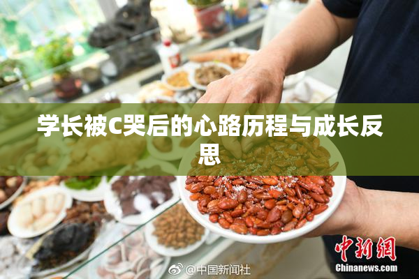 学长被C哭后的心路历程与成长反思