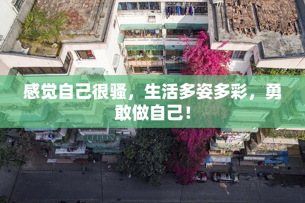 感觉自己很骚，生活多姿多彩，勇敢做自己！