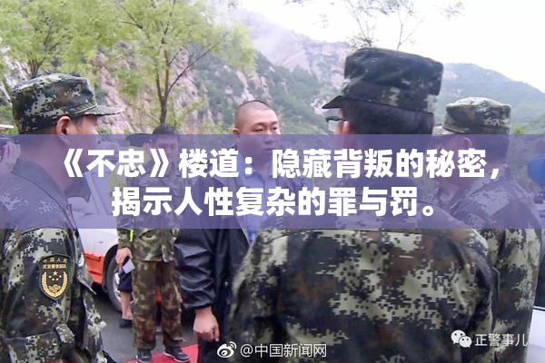 《不忠》楼道：隐藏背叛的秘密，揭示人性复杂的罪与罚。