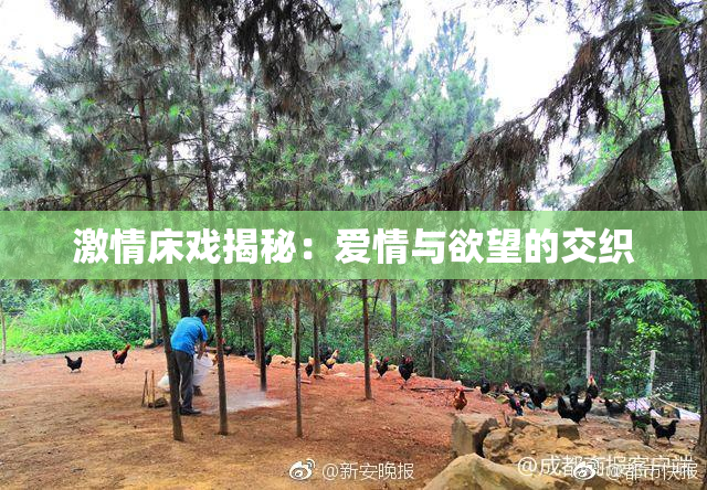 激情床戏揭秘：爱情与欲望的交织
