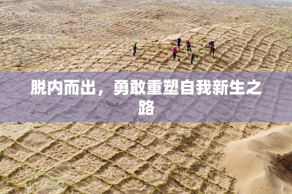 脱内而出，勇敢重塑自我新生之路