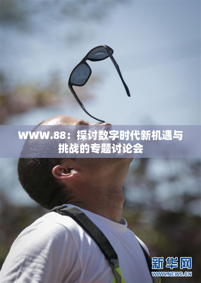 WWW.88：探讨数字时代新机遇与挑战的专题讨论会