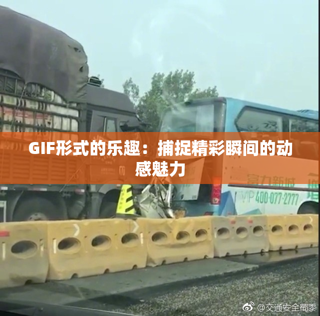 GIF形式的乐趣：捕捉精彩瞬间的动感魅力